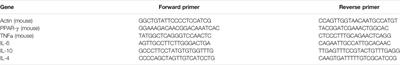 Dendrobium Officinale Polysaccharide Attenuates Insulin Resistance and Abnormal Lipid Metabolism in Obese Mice